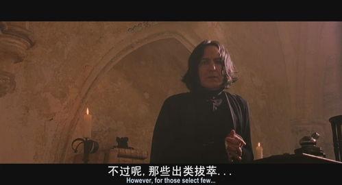 约伯记电影在线观看  第3张